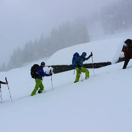 Hepi Domek letniskowy