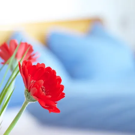 Domek letniskowy Hepi