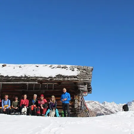 Hepi Domek letniskowy *