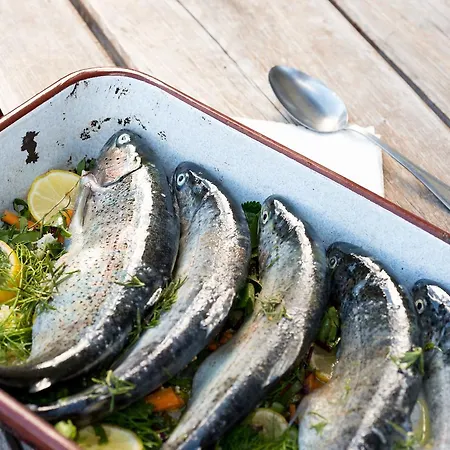 Hepi Domek letniskowy Liesing