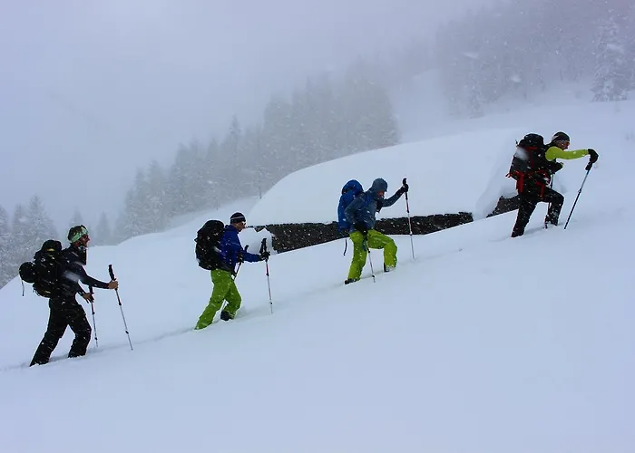 Hepi Domek letniskowy